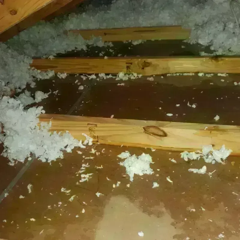 Attic Water Damage in Idyllwild, CA